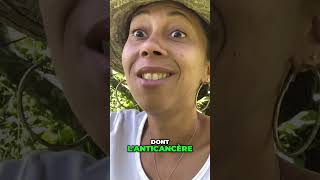 Les Vertus Incroyables Des Feuilles De Pomme Cannelle