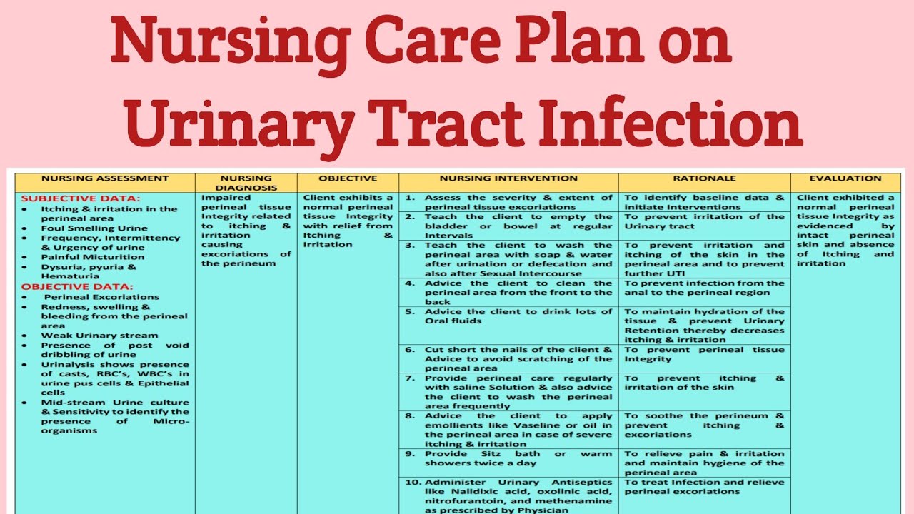 NCP 23 Nursing Care Plan On Urinary Tract Infection UTI Genitourinary 