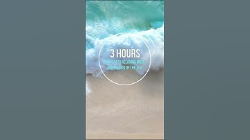 Thumbnail of 3 HOURS. The best soothing music for meditation relaxation and sleep. Sounds of the sea and seagulls