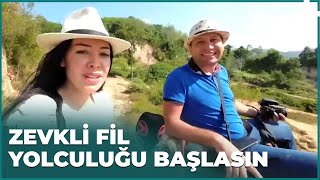 Taylandda Fil Kültürü Dünyayı Geziyorum