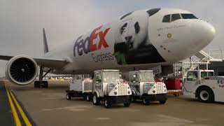 FedEx delivers Bei Bei the panda