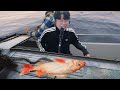 [어부 시뮬레이터] 생선, 킹크랩 잡아서 싯가로 파는 현실반영 어부게임🐟 (Fishing: Barents Sea)