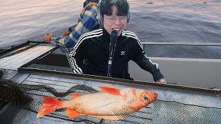 [어부 시뮬레이터] 생선, 킹크랩 잡아서 싯가로 파는 현실반영 어부게임🐟 (Fishing: Barents Sea) screenshot 1