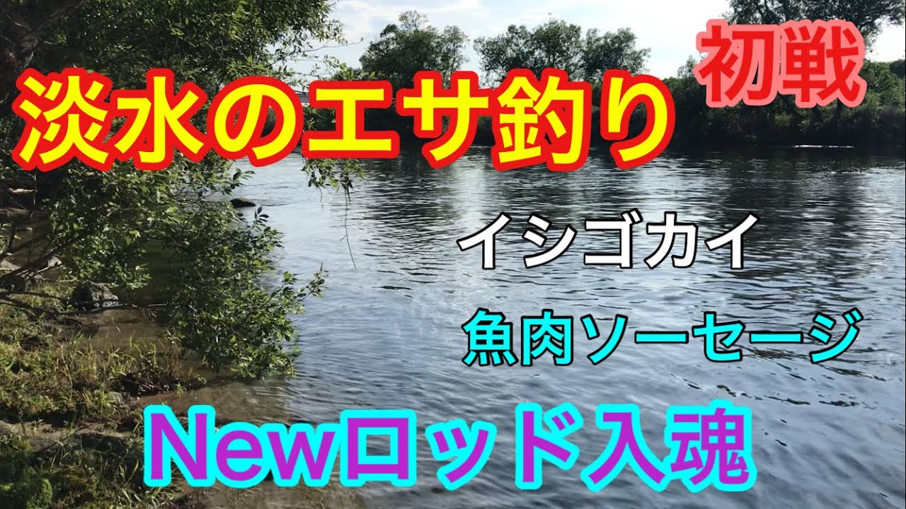 淡水のエサ釣り Newロッド入魂 魚肉ソーセージ Youtube