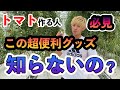 【トマト】超絶おすすめ資材4選！これで綺麗なトマトが取れる？