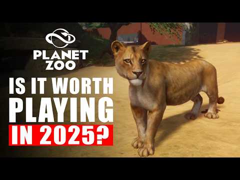  2025        