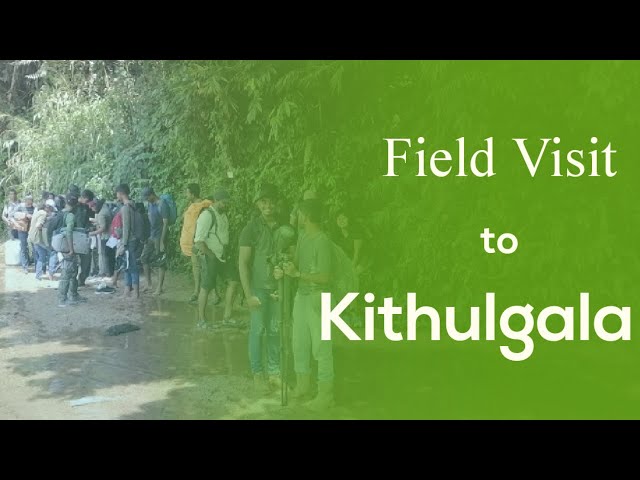 Field Visit to Kithulgala - November 2022