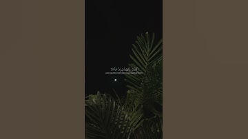 سورة الزمر إِنَّكَ مَيِّتٌ وَإِنَّهُم مَّيِّتُونَ (30)