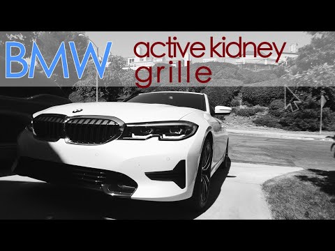 Bmw Active Kidney Grille Youtube