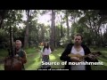 Semilla Universo, Seeds of Freedom and Food Fight clips
