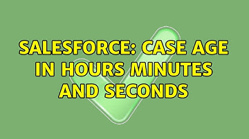 Salesforce: Case Age in Hours minutes and seconds
