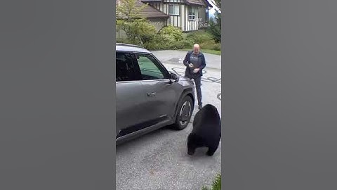 B.C. man has very close encounter with black bear #cr7 #فالكونز