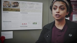 LSE Festival research competition 2018 - Poster Prize screenshot 3