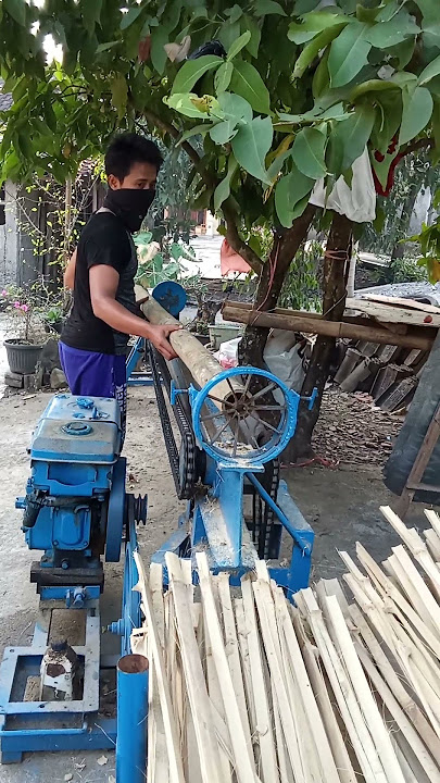 Split bamboo