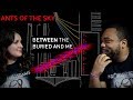 Between the buried and me ants of the sky reaction