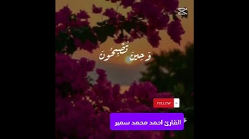 فسبحان الله حين تمسون وحين تصبحون 🥰 القارئ احمد محمد سمير #القرآن_الكريم #اكسبلور #خشوع