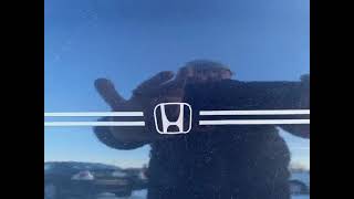 2011 Honda Accord LX P 4dr Sedan (Baxter, Minnesota)