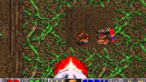 Plutonia Speedrun - NM100S - MAP01 "Congo" (Jakub Razak)