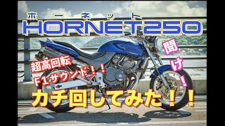【F1サウンド】ホーネット250に乗ってみた！超高回転16000回転まで吹け上がれ！