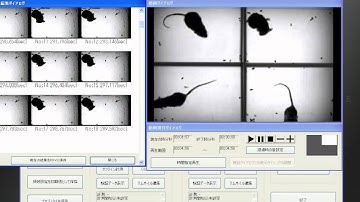 擦過行動データの検証　Verification of scratching data