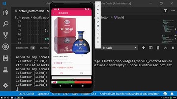 Flutter实战视频-移动电商63 63 购物车 详细页显示购物车商品数量