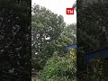 Cyclone Remal effect # Cyclone Strom