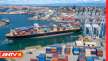 Giá cước vận tải biển tăng kỷ lục | Tin tức 24h | ANTV