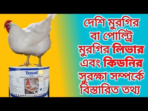 ভিডিও: বেকউইট এবং মুরগির লিভারের সাথে পাই