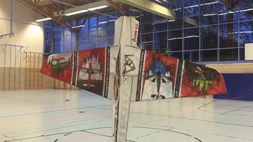 Still an Airplane? Flying indoor? Too low? Arrow V6 Julian Benz Freestyle Aerobatics 3D