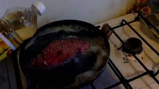 0016 Ucheba V Kolomenskom Politehe