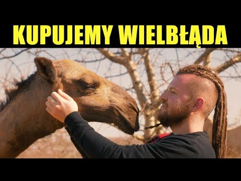 KUPUJEMY WIELBŁĄDA 🐪