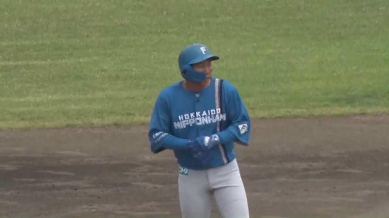 ファイターズ 難波侑平選手使用済みバット 55 NPBバット ファイターズ 難波侑平選手使用済みバット 55 NPBバット