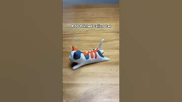 A 3D-printed calico cat！#