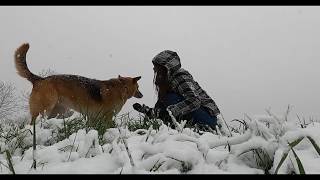 The Most Beautiful Dogs Moments With BackGround Music By Professional Photography Part 5
