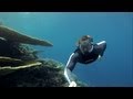 Free diving on the island of Vilamendhoo 2013