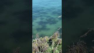 IMG 5648