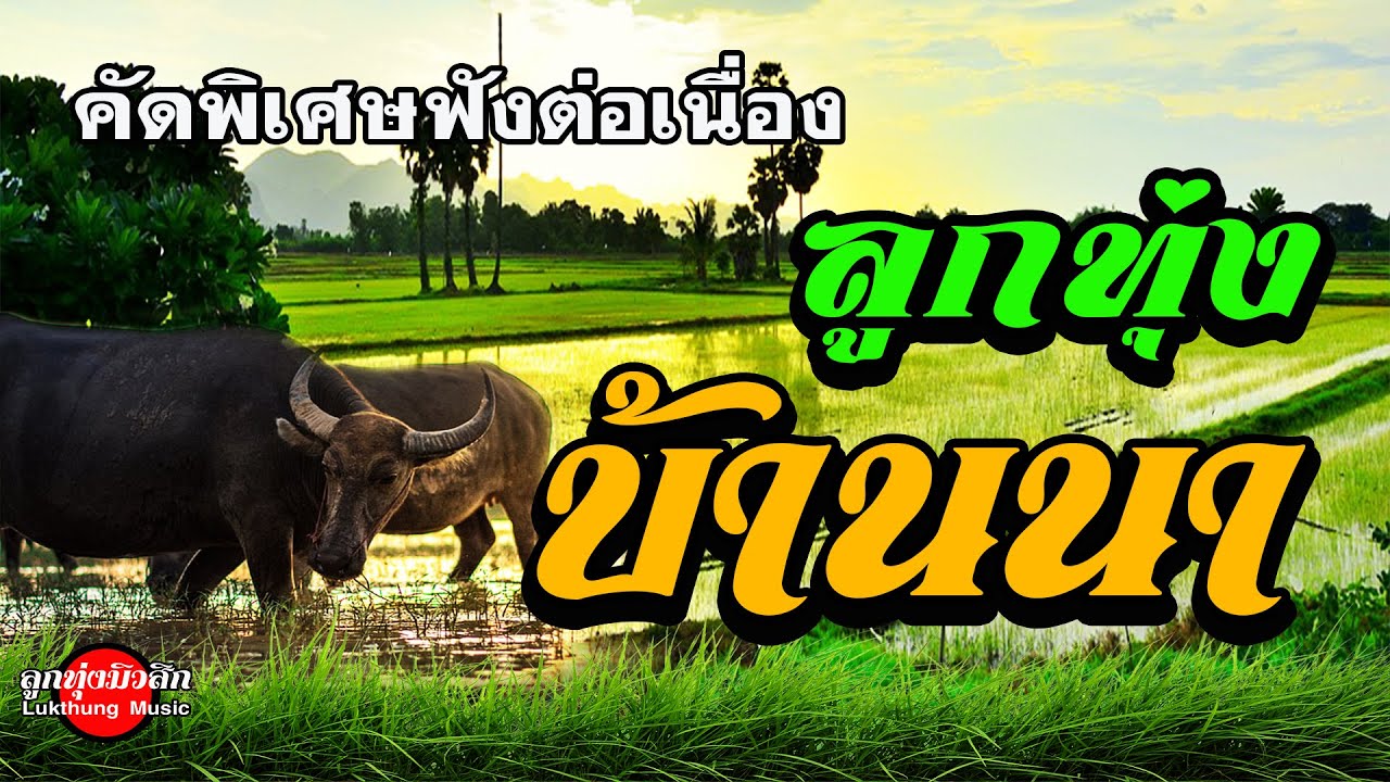 ลูกทุ่งบ้านนา[คัดพิเศษ] ฟังต่อเนื่อง