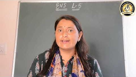 Class III - EVS - Lesson 5 (Storing and Saving Water)