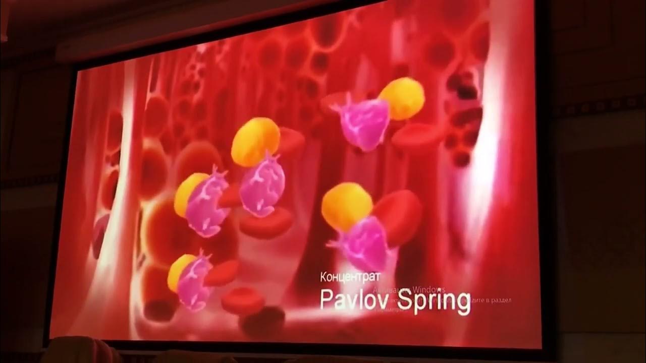 Концентрат «Pavlov Spring» Павлов спринг. Глобал тренд - YouTube