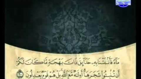 سورة النمل - الشيخ على الحذيفي