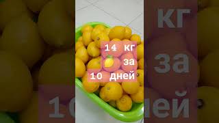 14 кг лимонов выпить за 10 дней, зачем !?