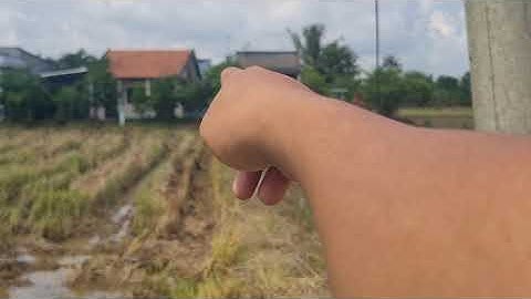 Khu Đất dân cư đông đúc xã phước tuy cần đước Long An 1084m2 đất lúa giá 1ty1 hết đất bao trọn hồ sơ