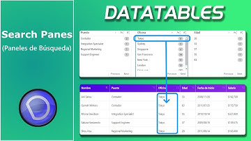 Datatables - Paneles de búsqueda (Search Panes)