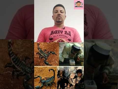 تدخين العقارب    