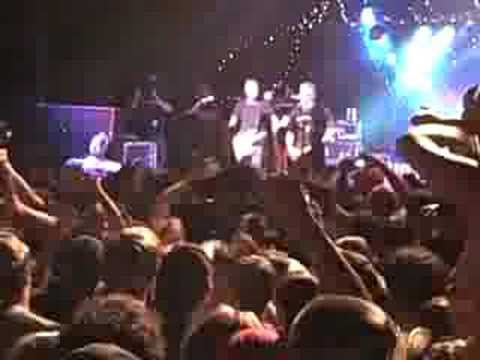 possum papua Toadies - Live @ Possom Kingdom Lake