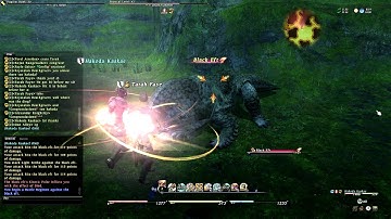 FFXIV 1.0 Gameplay Tarah gets 50PUG!!! w/ Simian Thrash