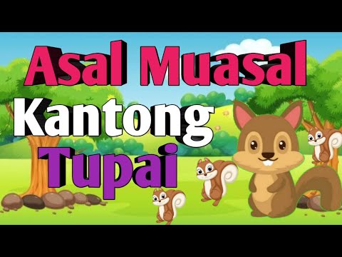 Video: Dari mana asal tupai?