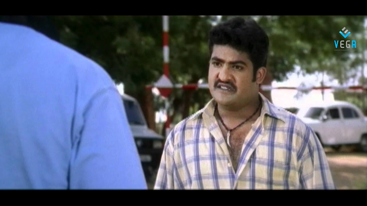 Simhadri Movie   Jr Ntr Fight Scenes   Ankita Bhumika Chawla