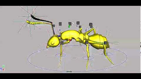 Testing the rigging of ant model made in Maya.