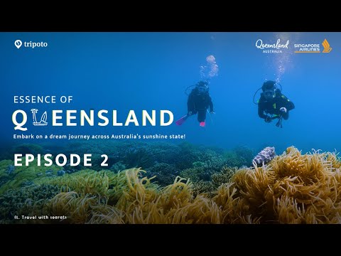Essence of Queensland